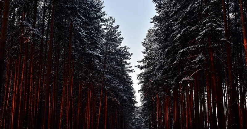 Die Wetterfestigkeit: Was Sie nach dem ersten Winter wissen müssen