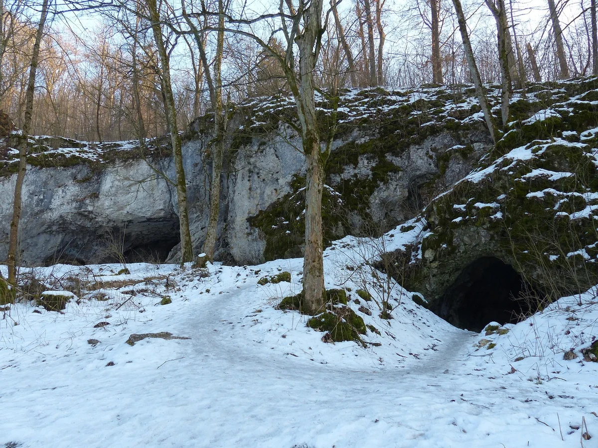 Kreative Allgemeine Gartengestaltungsideen für kleine Außenbereiche 2026 entdecken